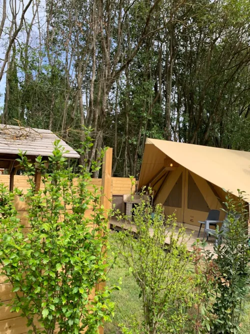 Location - Lodge Central 24M² - 1 Chambre - Coin Cuisine - Salle D'eau - Hébergement De Plain Pied Accessible Pmr - image n°3 - Hôtel de Plein Air Suze Luxe Nature