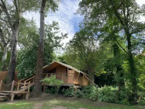 Locatif - Lodge Clairière 25m² - 2 bedrooms - kitchen -private spa - Hôtel de Plein Air Suze Luxe Nature