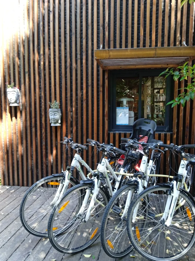 Cabane Perchée Source - Sans Douche - Avec Wc Et Cuisine