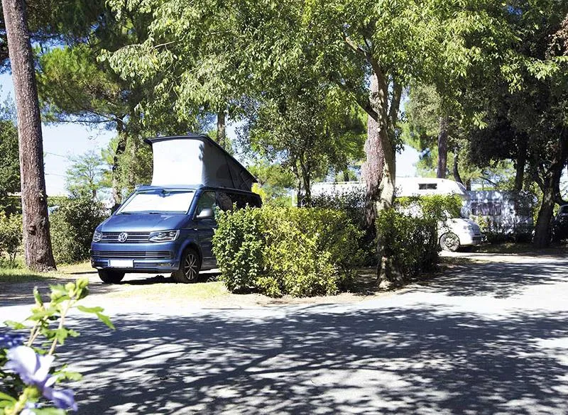 Emplacement Camping > 130 M² (Parc Les Pins)