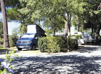 Caravan / Motorhome / Tent Pitch (Parc Les Pins) — 2