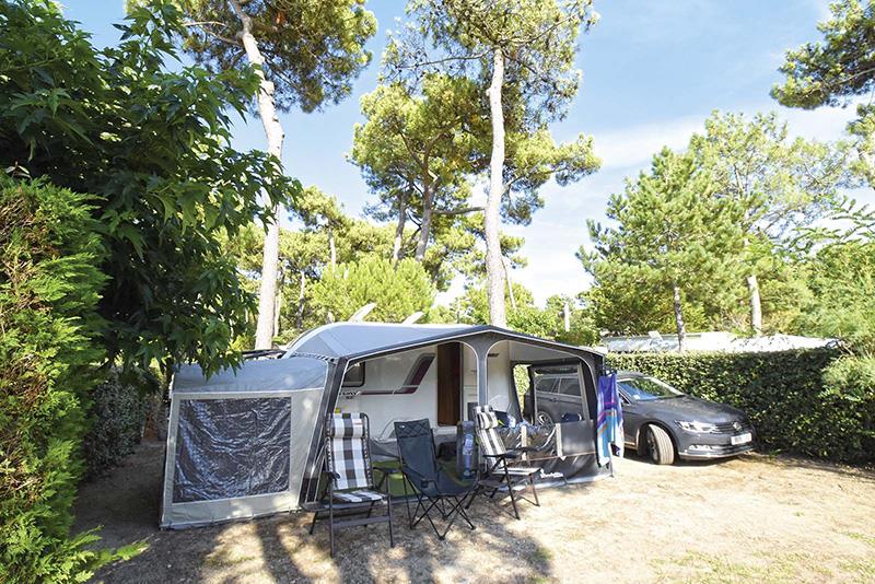 Emplacement - Emplacement Camping > 130 M² (Parc Les Pins) - Camping Bois Soleil