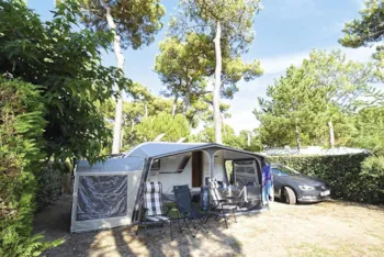 Stellplatz - Wohnwagen / Wohnmobil / Zeltstellplatz (Parc Les Pins) - Camping Bois Soleil