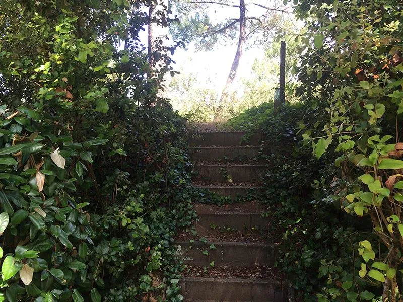 Emplacement Tente (Parc La Mer / Les Pins)
