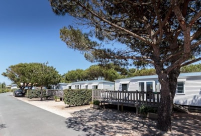 Cottage Mer 3 bedrooms 2 bathrooms (Prestige) — 1