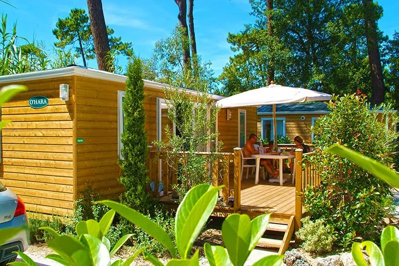 Cottage Pins 2 Ch Bois (Premium)