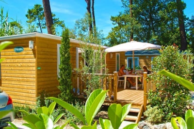 Cottage Pins 2 bedrooms Bois (Premium) — 2