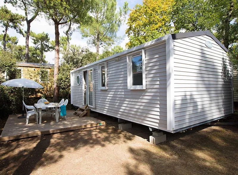 Cottage Pins 3 Ch Evasion (Premium)