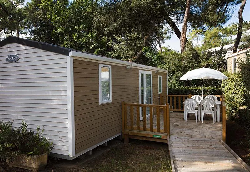 Location - Cottage Pins 2 Ch Pmr (Premium) - Camping Bois Soleil