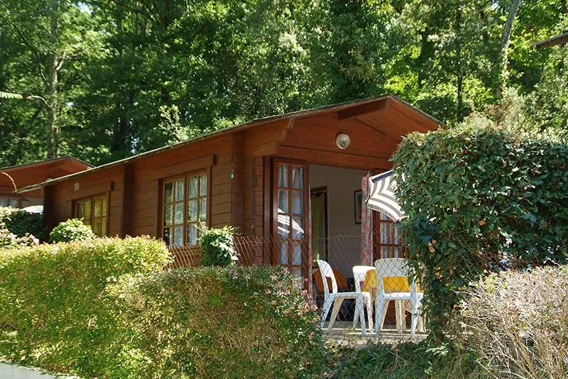 Studio Bois Forêt (Eco)
