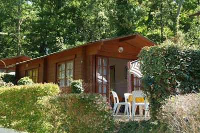 Studio Bois Forêt (Eco) — 1