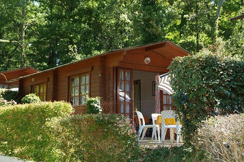 Studio Bois Forêt (Eco)