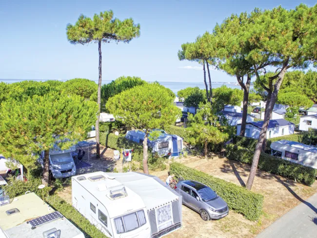 Camping Bois Soleil - image n°4 - Camping Direct