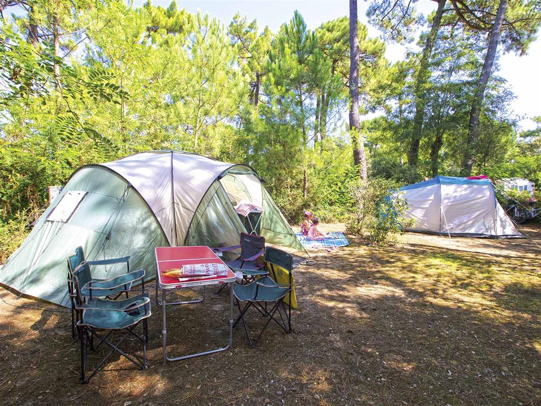Emplacement - Emplacement Camping (Parc Les Pins) - Camping Bois Soleil