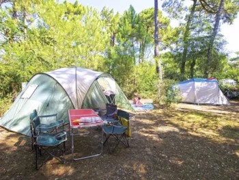 Stellplatz - Wohnwagen-/Wohnmobil-/Zeltplatz (Parc Les Pins) - Camping Bois Soleil
