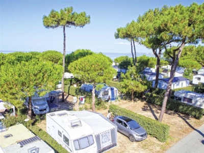 Caravan / Motorhome / Tent Pitch (Parc Les Pins) — 1