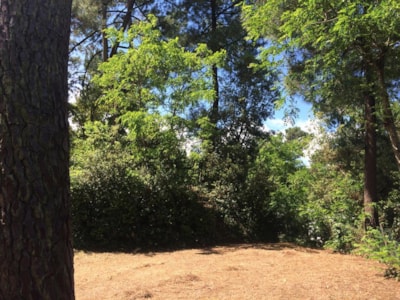 Tent pitch (Parc La Forêt) — 2