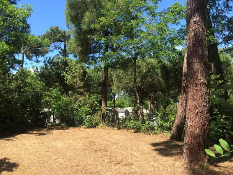 Emplacement Tente (Parc La Forêt)