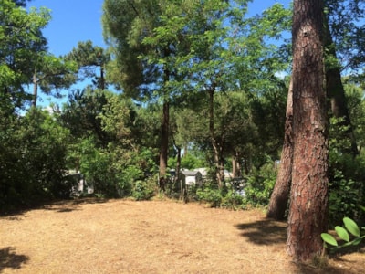 Tent pitch (Parc La Forêt) — 3