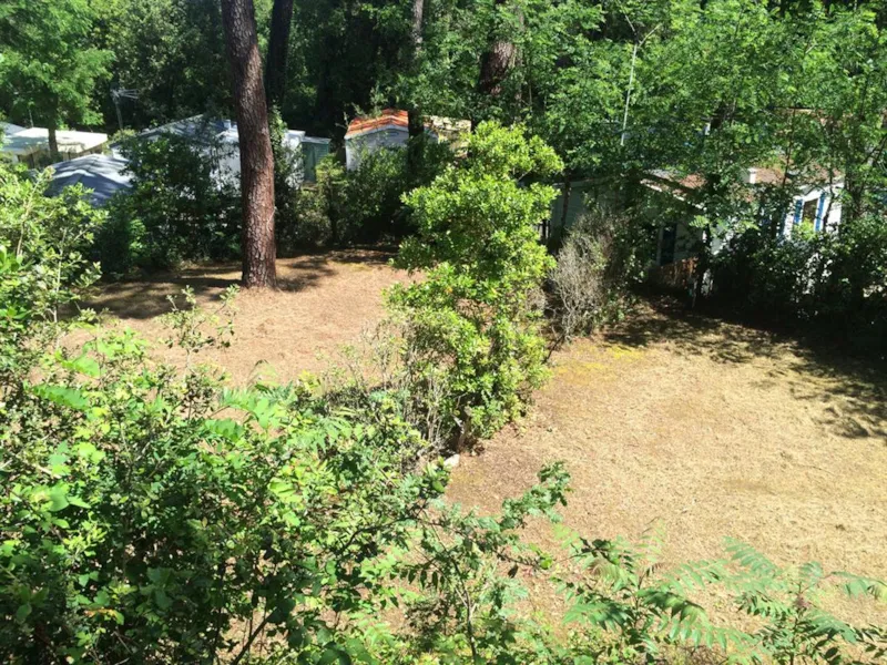 Emplacement Tente (Parc La Forêt)