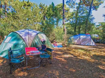 Pitch - Tent Pitch (Parc La Forêt) - Camping Bois Soleil