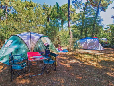 Tent pitch (Parc La Forêt) — 1