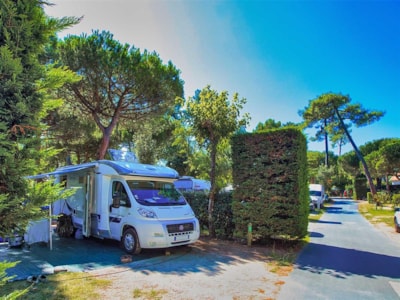Caravan / Motorhome / Tent Pitch (Parc Les Pins) — 4