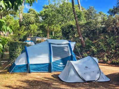 Caravan / Motorhome / Tent Pitch (Parc Les Pins) — 5