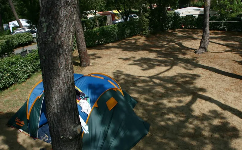 Emplacement Tente (Parc La Mer / Les Pins)