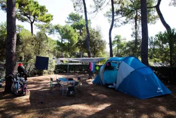 Pitch - Tent Pitch (Parc La Mer / Les Pins) - Camping Bois Soleil