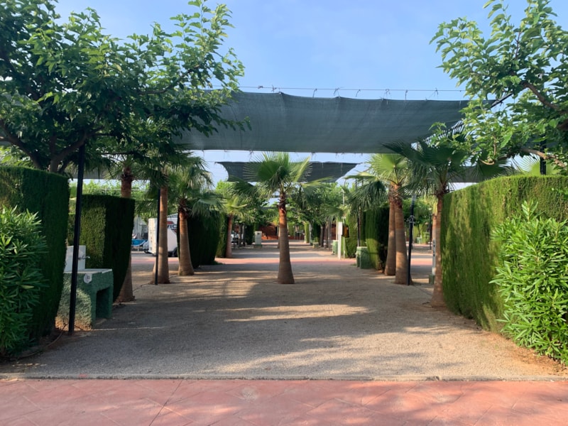 Standplaats Mini Bronce  tent / caravan of kampeerauto + voertuig + elektriciteit