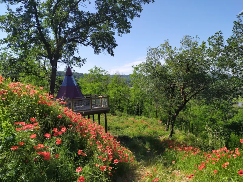 Tente Suspendue Rubis