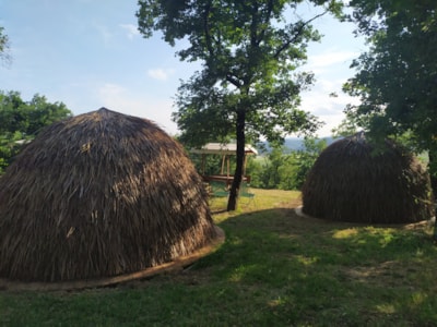 ZULU African huts