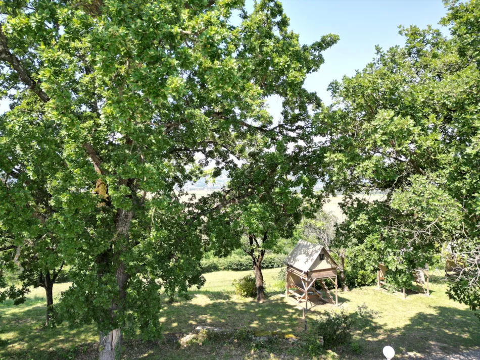 Camping du Domaine de Senaud