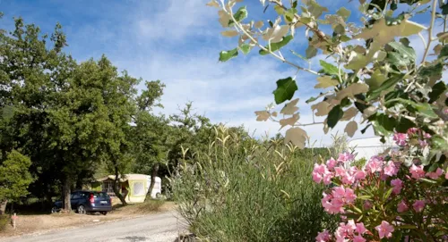 Pitch - Nature Camping Pitch : 60 To 80M², Electricity 10A - image n°3 - CAMPING LES BASTETS