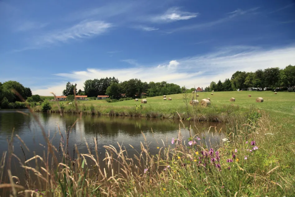 Château le Verdoyer