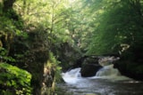 Foto #78 van Château le Verdoyer