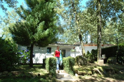 Wooden Chalet