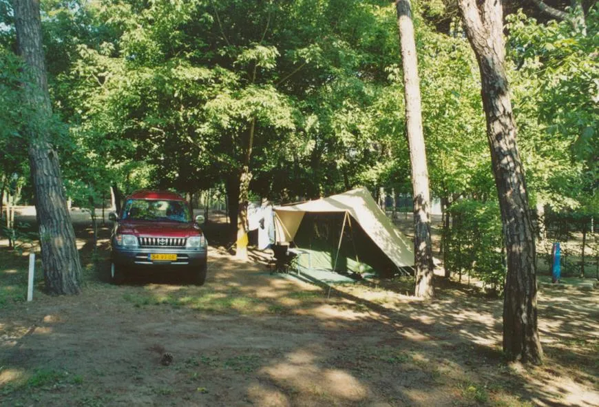 Pitch STANDARD  for tent + Car (electricity 4 A included)