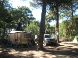Parcel·la - Parcel·La Large  Caravana /Tenda + Cotxe - Càmping-Car + Electricitat 6A - Camping Piomboni SRL