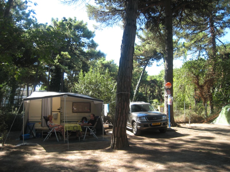 Emplacement LARGE Caravane/Tente + Voiture - Campingcar + Electricité 6A