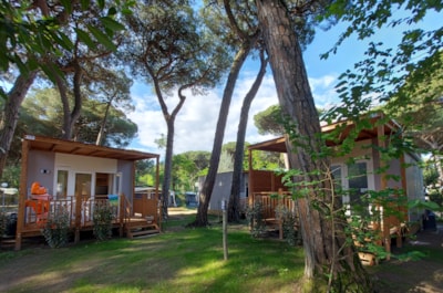 Mobile-home SOLE GOLD with air conditioning - beach service included min 7 nights — 7
