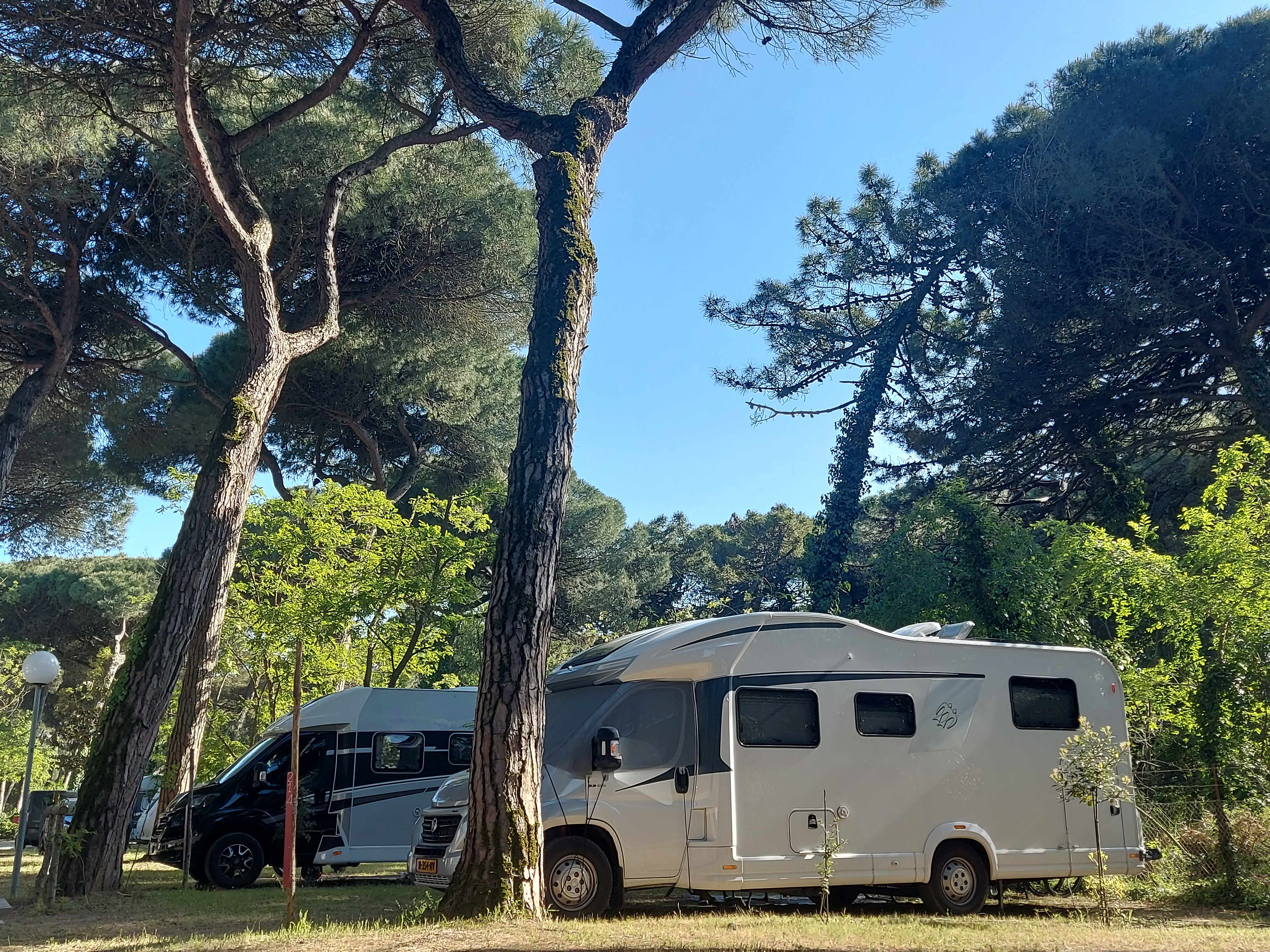 Stellplatz LARGE Wohnwagen/Zelt + Auto - Wohnmobil + Strom 6A