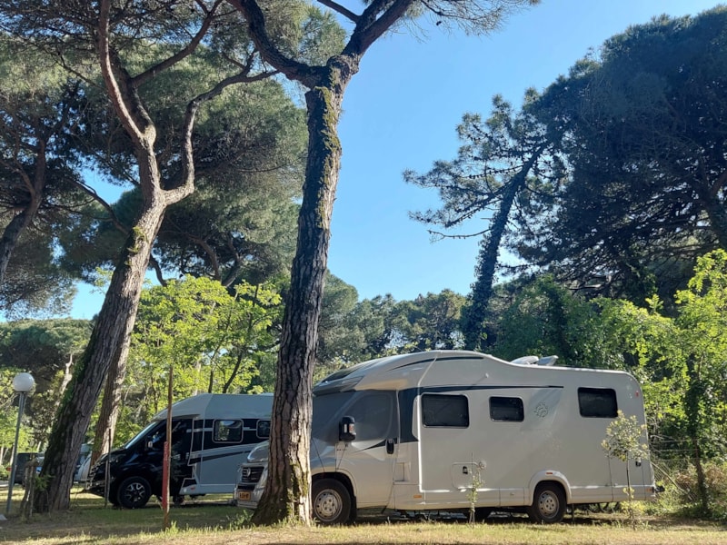 Stellplatz LARGE Wohnwagen/Zelt + Auto - Wohnmobil + Strom 6A