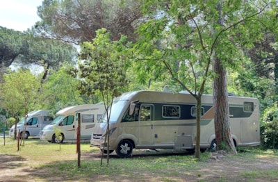 Pitch type PLUS for camper van  (Electricity 6A and water tab onsite included) — 1