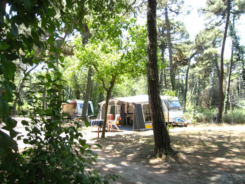 Emplacement Plus Pour Caravane + Voiture  (Electricité 6A Comprise)