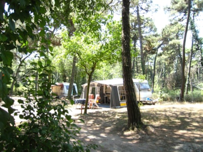 Pitch type PLUS Caravan + car  (Electricity 6A and water tap on site included) — 3