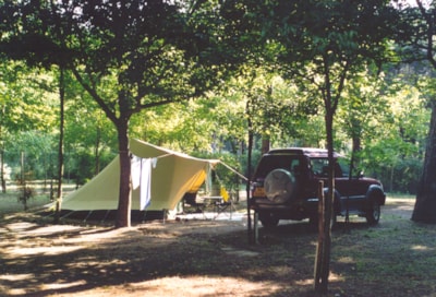 Pitch type PLUS for Tent  + Car  (Electricity 6A and water tab onsite included) — 2