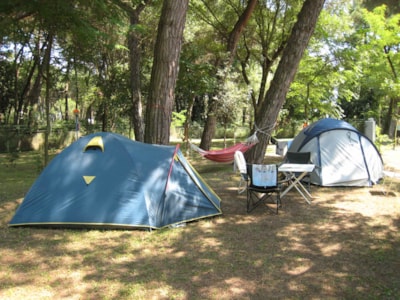 Pitch type PLUS for Tent  + Car  (Electricity 6A and water tab onsite included) — 3
