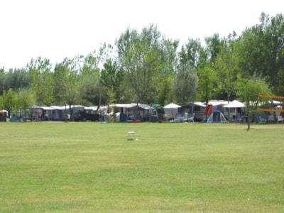 CAMPING VILLAGE BADIACCIA